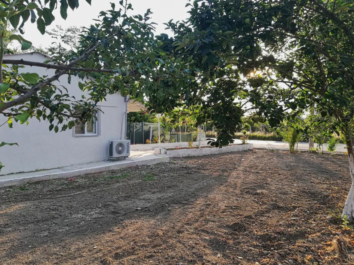 Alibaba Villa Near Airport And Beach 达拉曼 外观 照片