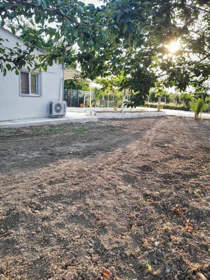 Alibaba Villa Near Airport And Beach 达拉曼 外观 照片