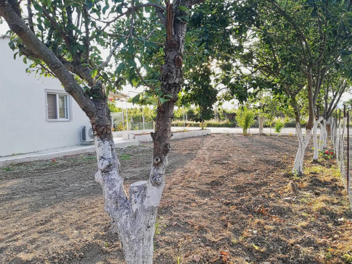 Alibaba Villa Near Airport And Beach 达拉曼 外观 照片