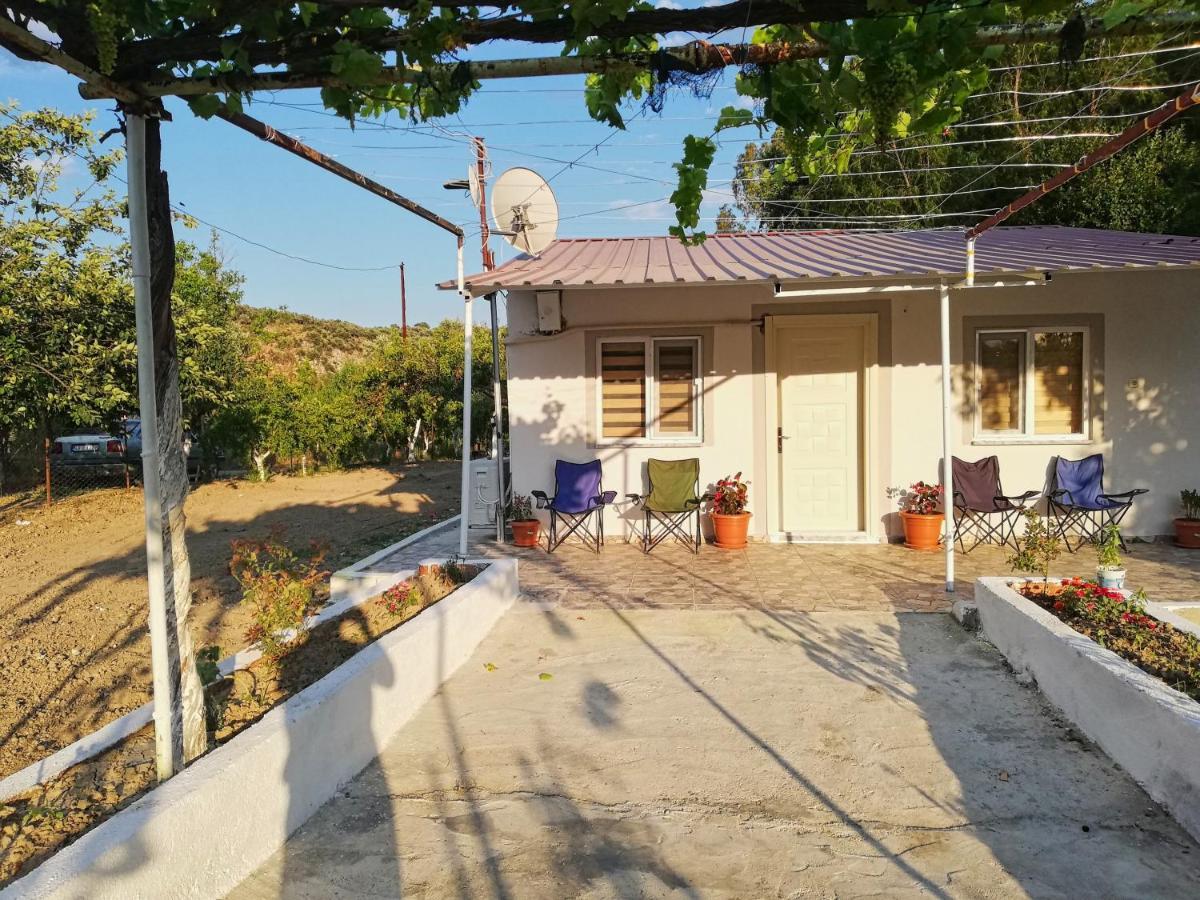 Alibaba Villa Near Airport And Beach 达拉曼 外观 照片