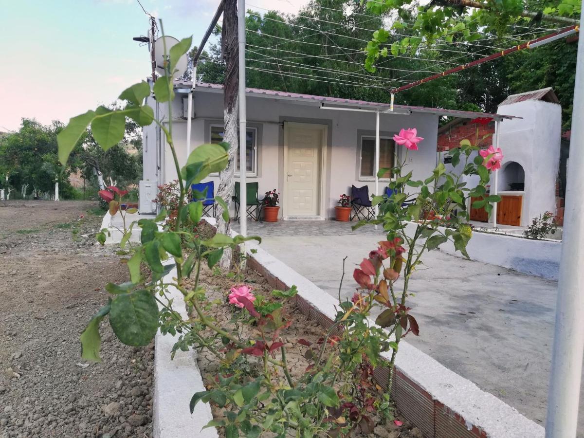 Alibaba Villa Near Airport And Beach 达拉曼 外观 照片