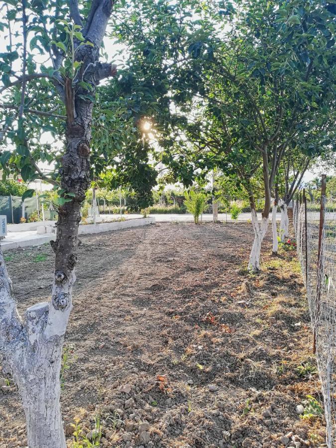 Alibaba Villa Near Airport And Beach 达拉曼 外观 照片