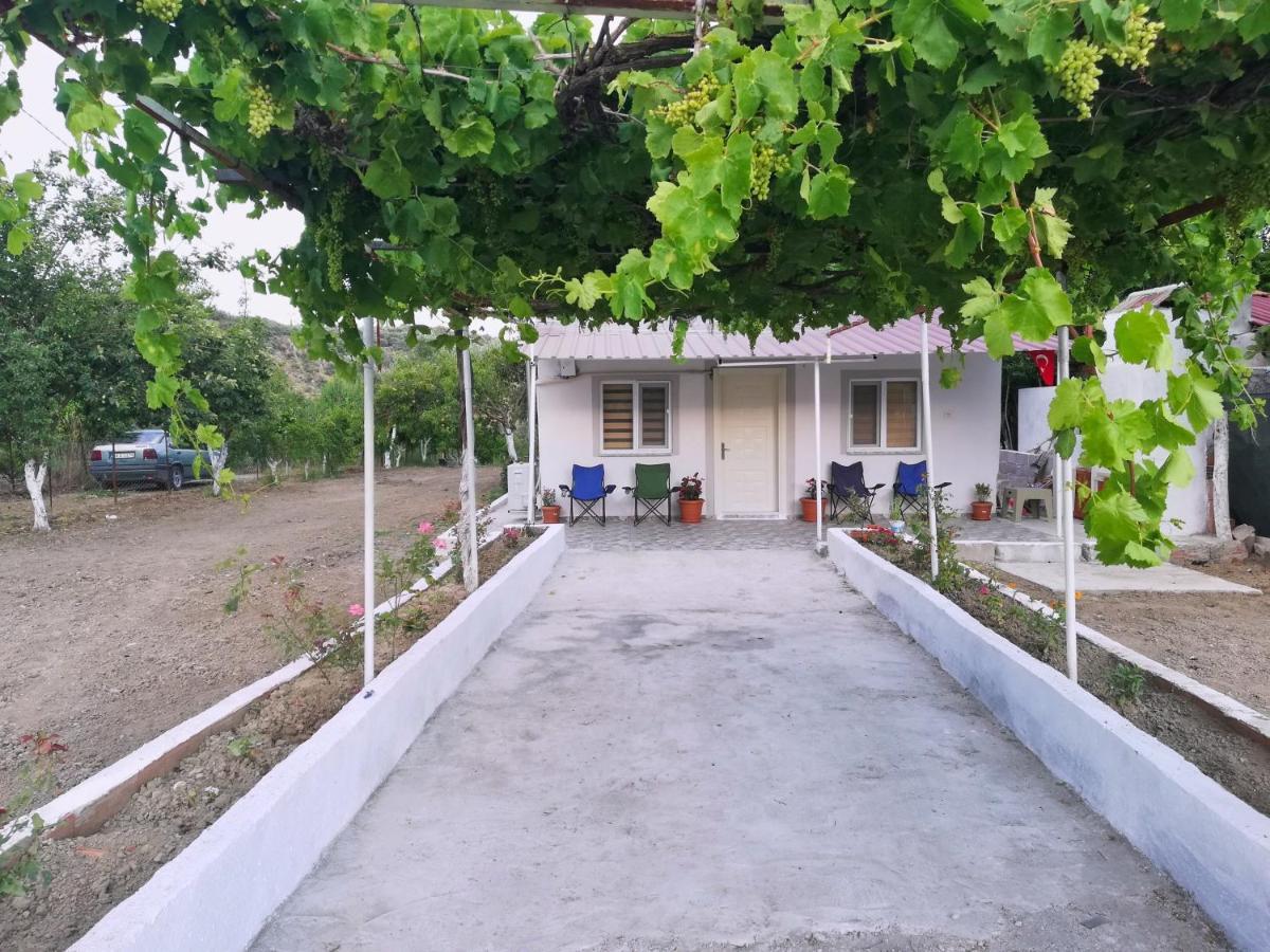 Alibaba Villa Near Airport And Beach 达拉曼 外观 照片